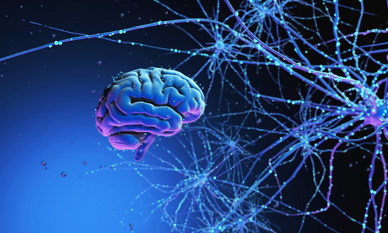 Neurology Billing Mastery